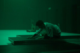 Shayu Studio