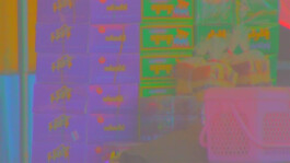 Shayu Studio