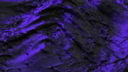 Shayu Studio