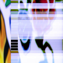 Shayu Studio